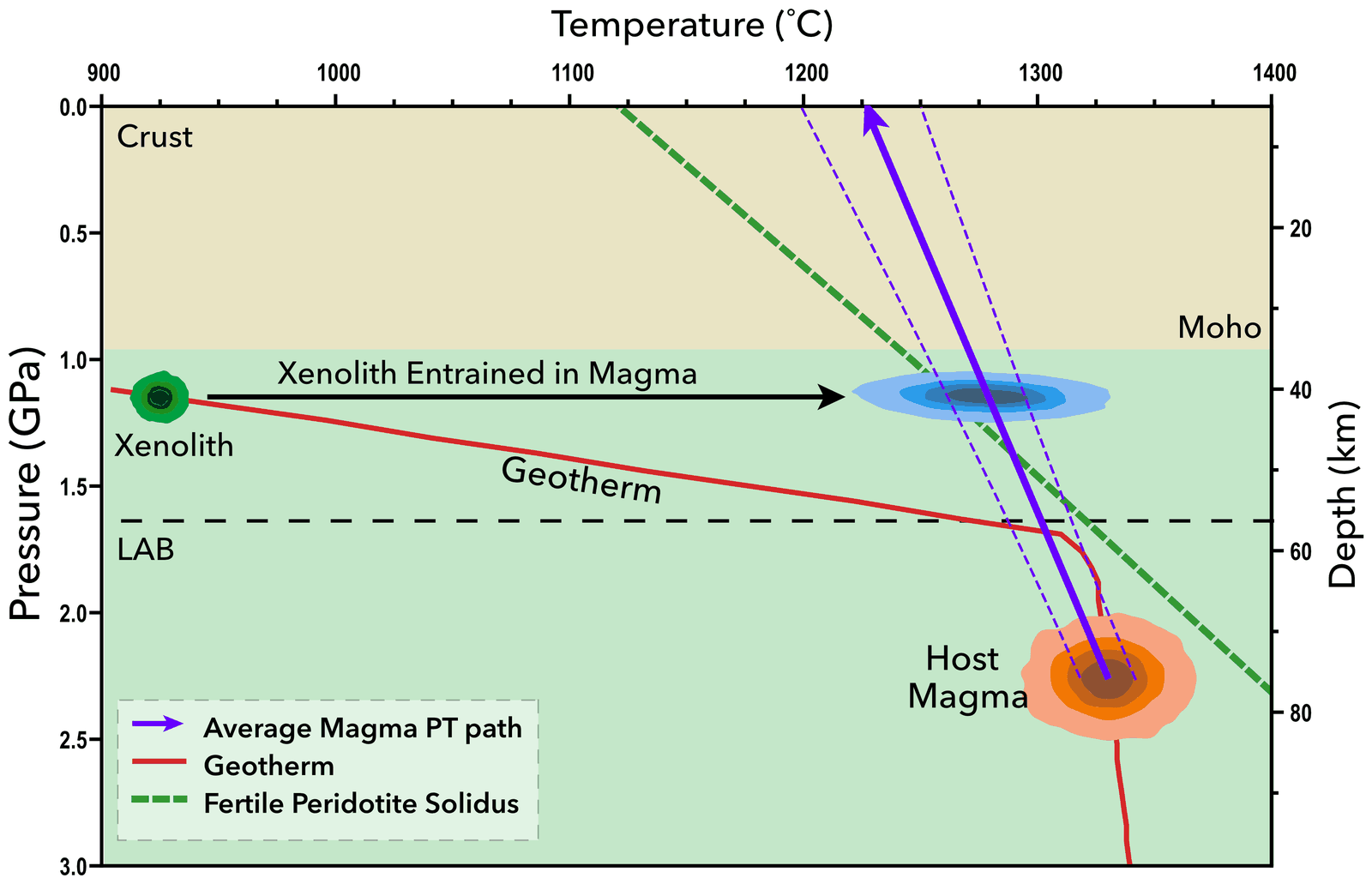 Pressure-temperature diagram showing a xenolith picked up at about 40 km depth, heated by the magma, and carried up a magma ascent path that lies mostly above the peridotite solidus